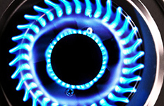 【泉天下廚衛(wèi)】我想要簡簡單單的幸福